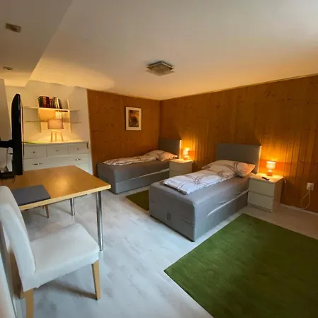 Reininghaus - Budget