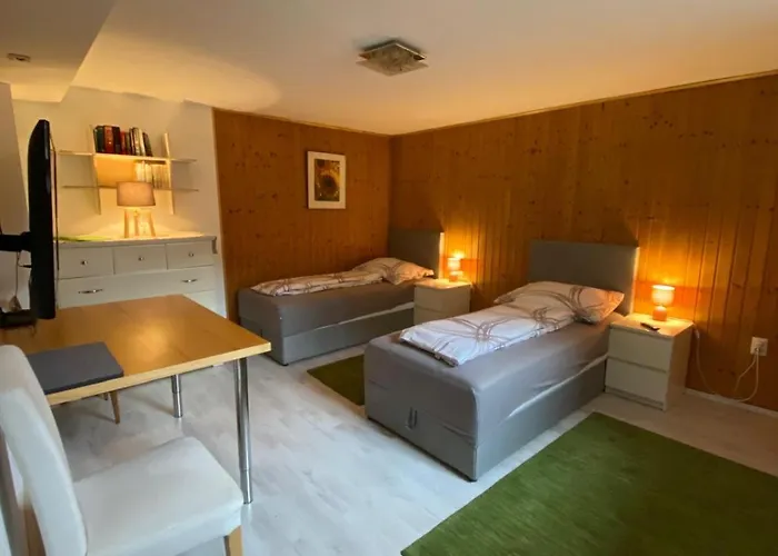 Reininghaus - Budget